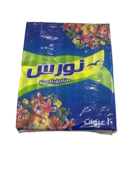مناديل نورس ١٦٠منديل مزدوج ١٠ عبوات