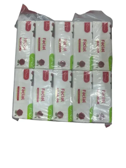 مناديل رست ٣٠٠ منديل ١٠ عبوات